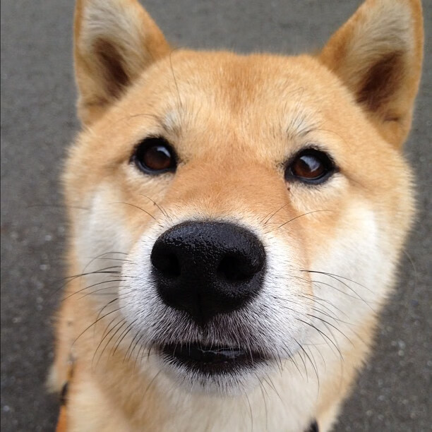 开云平台-从沙漠到绿茵，阿尔及利亚的决胜局奇迹与哈弗茨的奥运周期接管时刻